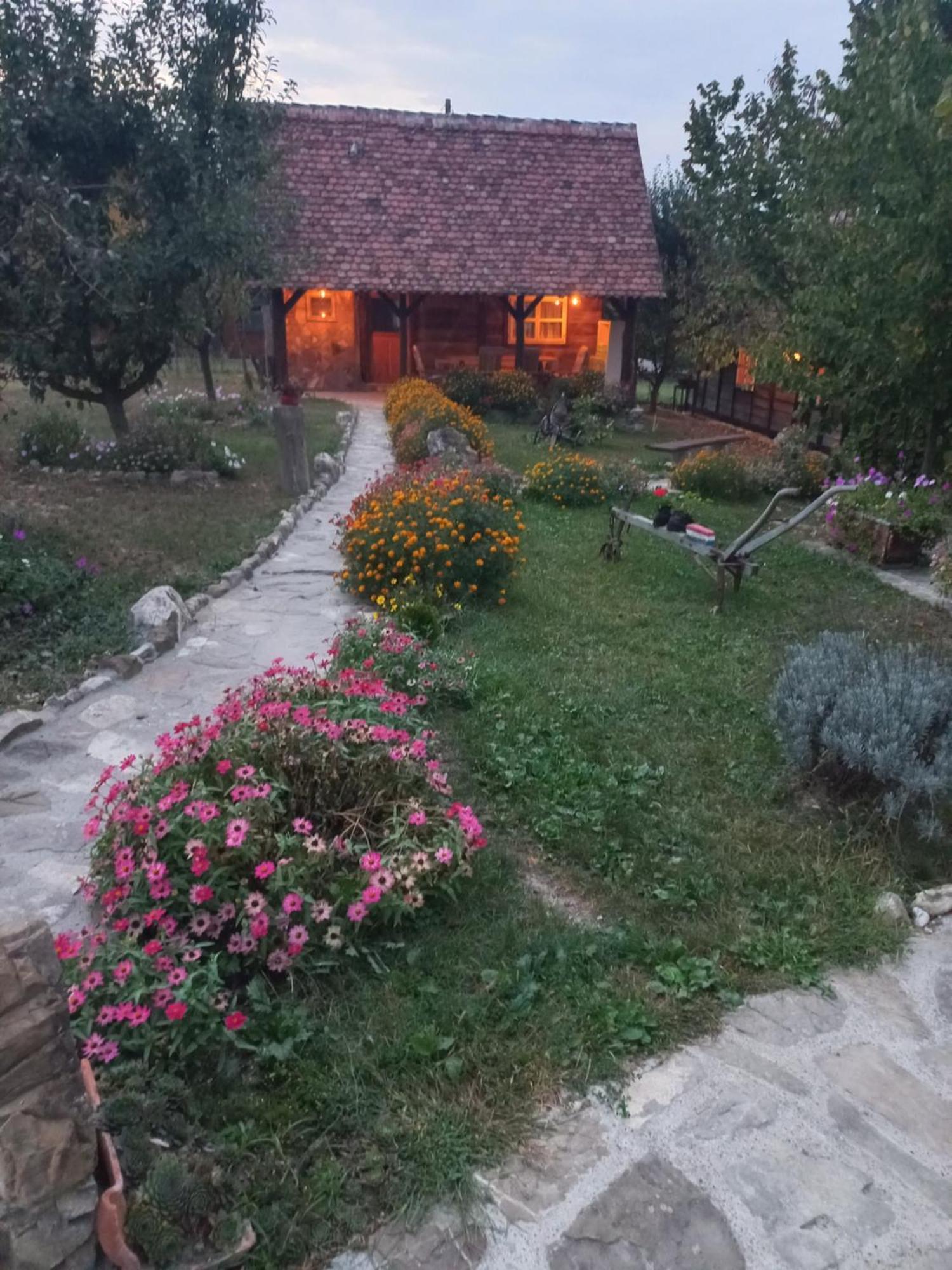 Вилла Magaze De Luxe Gradacac Экстерьер фото