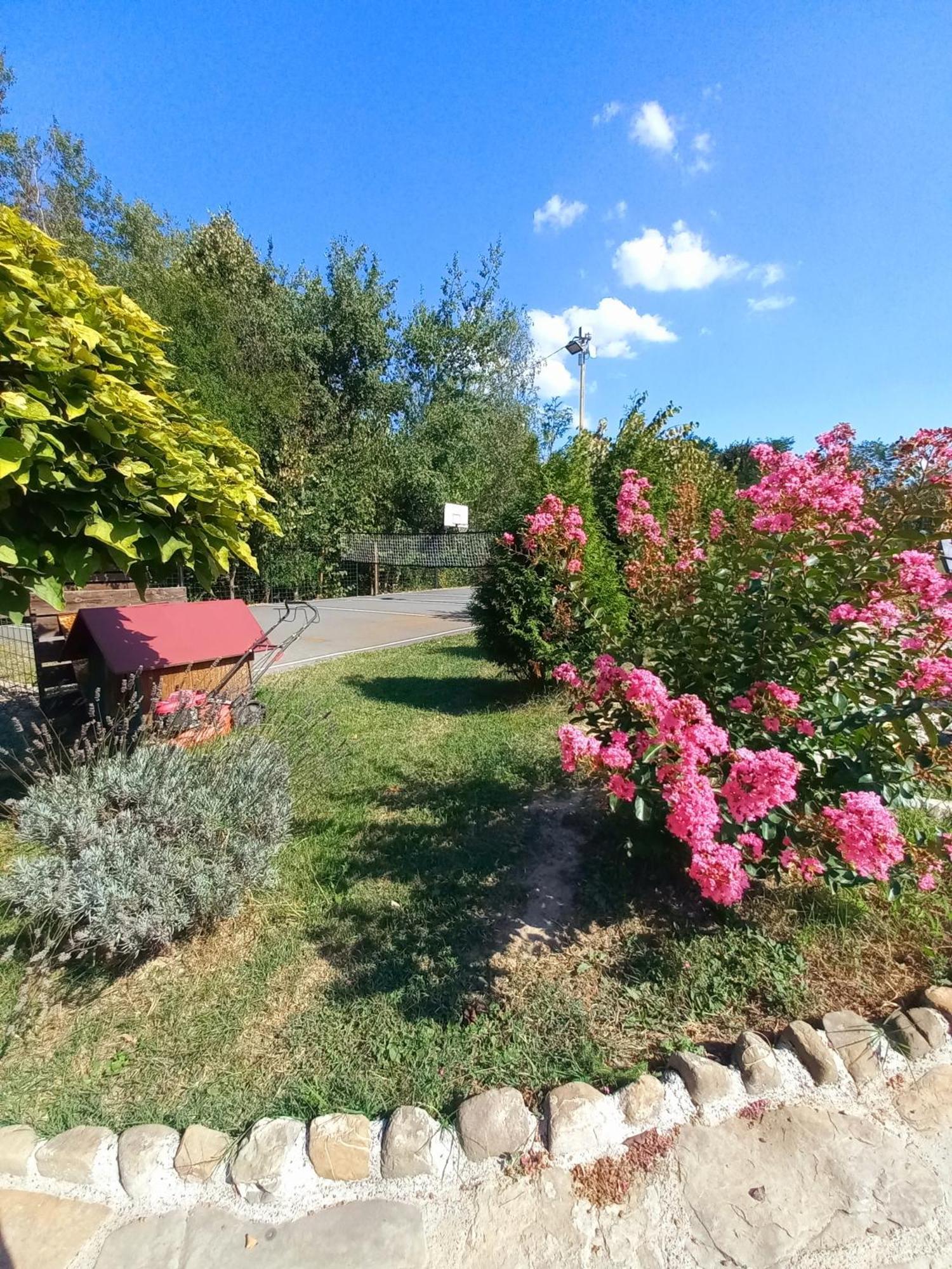 Вилла Magaze De Luxe Gradacac Экстерьер фото